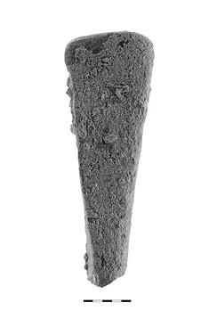 Fig. 14. A wedge-like tool found in Revadim, made of an elephant bone.