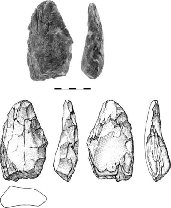Fig. 15. A bifacially flaked bone of an elephant, found in Revadim.